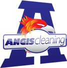 Angis Cleaning Logo